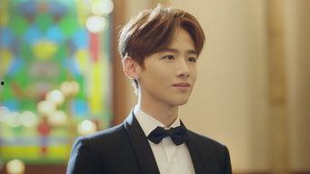 娱乐吃瓜猫白敬亭,娱乐吃瓜猫的甜蜜蜕变