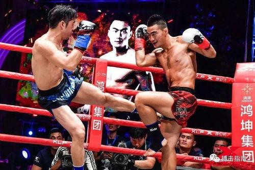 杨茁资料,从武术新星到国际武术冠军的成长之路